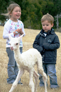kids kids